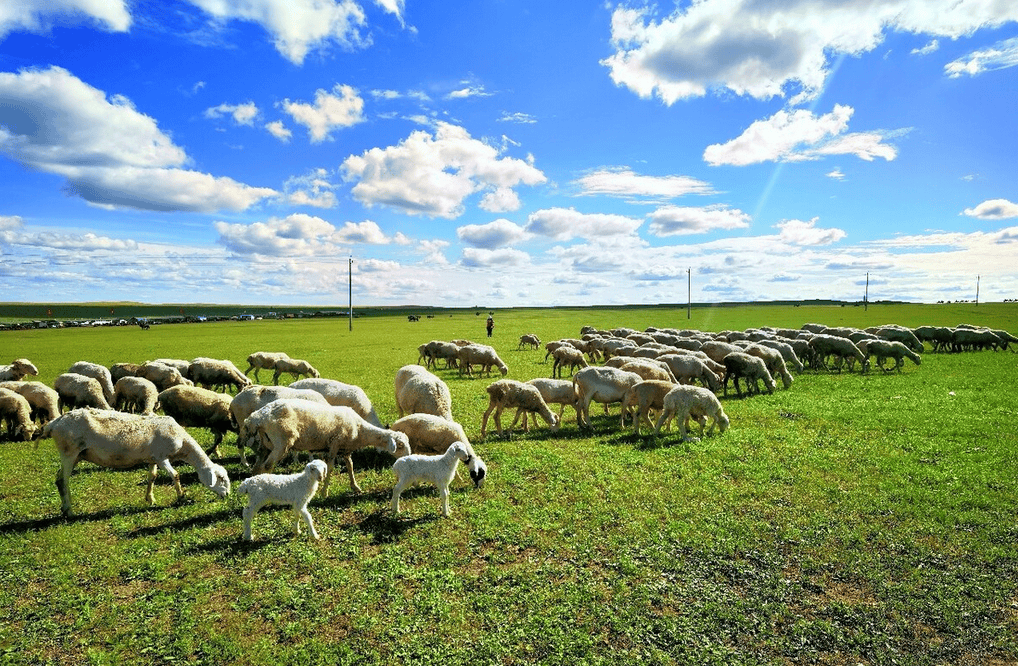 樂林丨讓每個人，樂享品質(zhì)涮烤生活